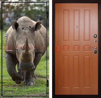 Металлическая дверь с фотопечатью носорога ДФ-31 в Звенигороде